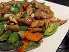 -鑫焱食府