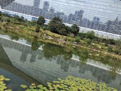 -桂溪生态公园