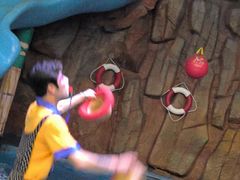 -烟台海昌鲸鲨海洋公园