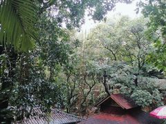 -南丹山森林王国