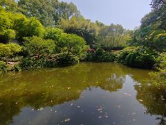 -汇龙潭