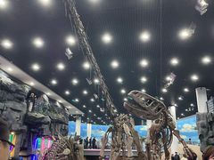 -吉林省自然博物馆