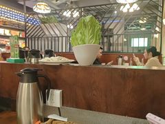 -百岁鱼(七一路店)