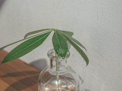 -Line 咖啡(石厦花园店)