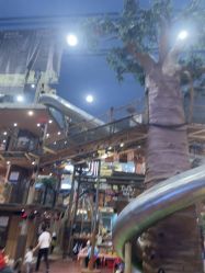 -卡通尼·Safari非洲探索乐园·生日会(金桥国际商业广场店)