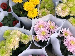 -重庆市江北嘴中央商务区中央公园