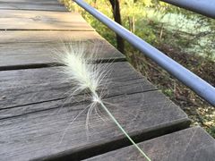-西湖风景区-江洋畈生态公园
