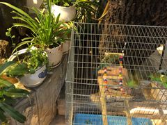 -丽江庭院·云南野生菌·海鲜火锅(鼓楼四合院店)