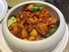 红烧肉-刘胖子家常菜·蹄花焖藕(富安街店)