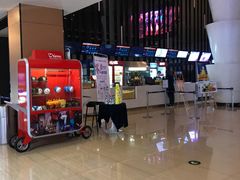 -幸福蓝海国际影城(河西店)