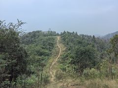 -青龙山国家森林公园