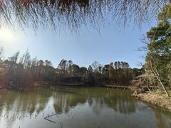 -上海滨江森林公园