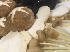 菌类拼盘-鱼豆吉·豆浆鱼火锅(宜昌万达店)