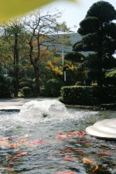 -厦门海景洲际酒店·宴会厅