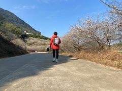 -广州市流溪河国家森林公园