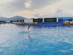 -三亚海昌梦幻海洋不夜城