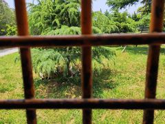 -南大门韩国米糕(公滨路店)