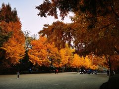 -玲珑塔公园