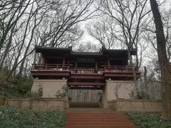 -紫霞湖公园