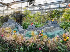 -南宫五洲植物乐园