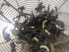 -食潮汕头鲜牛馆(望京保利店)
