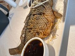 -桂园餐厅(五大道店)