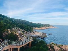 -广东惠东海龟国家级自然保护区