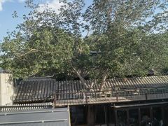 -糖房咖啡(南锣鼓巷店)