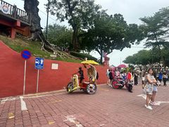 -马六甲鸡场街