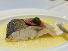 鸡汁火腿白鱼-松鹤楼(狮山永利广场店)