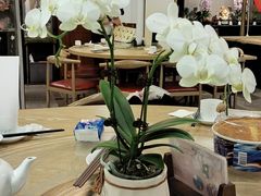 -佛有缘素食馆·荔湾老字号(陈家祠首店)