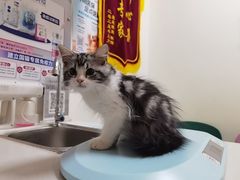 -美联众合24小时·皮肤科·外科·全科诊疗中心(华苑分院)