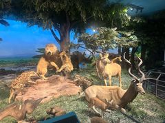 -国家自然博物馆