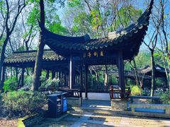 -上海佘山国家森林公园天马山园