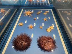 -浙江自然博物院(杭州馆)