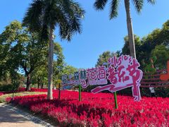 -广州市流溪河国家森林公园