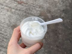 椰子雪糕-洪馨椰子