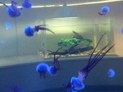 -常州海昌海洋探索馆