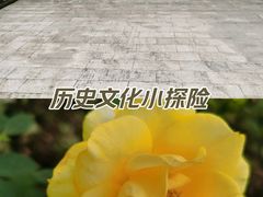 -重庆园博园