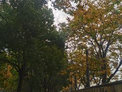 -武昌江滩