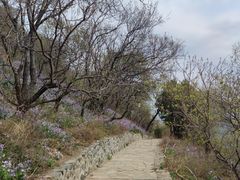-香山公园