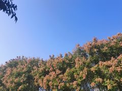 -连云港金陵海州湾会议中心