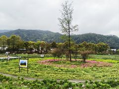 -太阳湾风景区