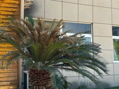 -翠茗农庄土菜馆(天目湖店)