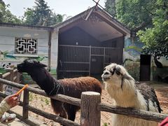 -昆明动物园