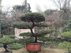 -水绘园