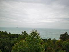 -广东惠东海龟国家级自然保护区