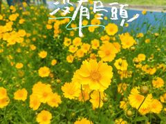 -美兰湖景区