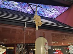 -将太无二·北美传奇寿司(荟聚购物中心西红门店)