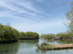 -溱湖国家湿地公园